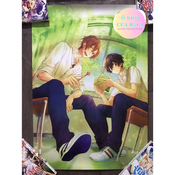 Sasaki and Miyano - Aurora Acrylic Panel (2 types)
