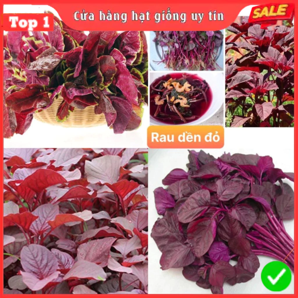 vn 11134211 7r98o