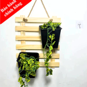 Kệ treo tường treo chậu cây, khung treo chậu hoa bằng gỗ thông kiểu bậc thang, kèm dây thừng