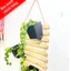 Kệ treo tường treo chậu cây, khung treo chậu hoa bằng gỗ thông kiểu bậc thang, kèm dây thừng