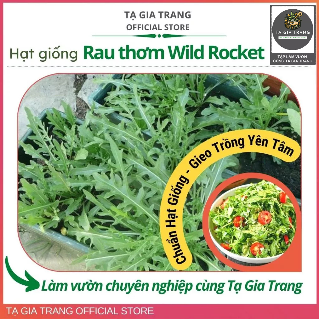 Hạt giống rau Wild Rocket Arugula | Shopee Việt Nam
