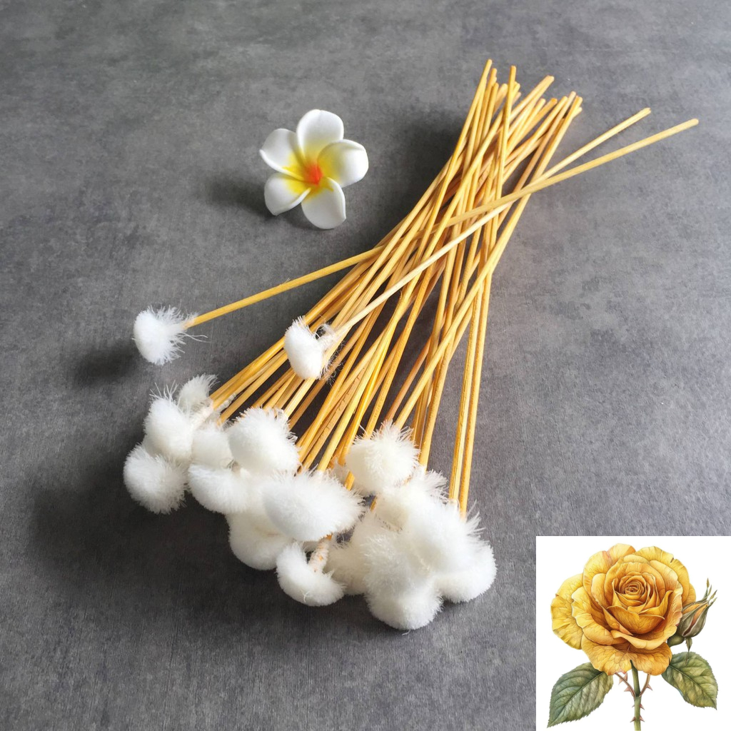 5 cây bông ráy tai- bông ngoáy tai - cây gỗ dài 21cm có đầu lông mịn ...
