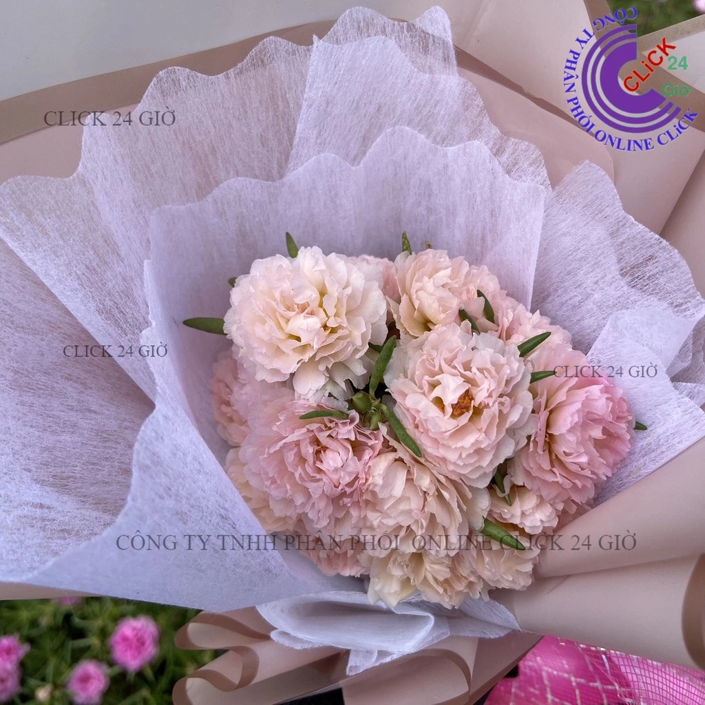 Cành Hoa Mười Giờ Kem Tiểu Thư Đẹp Tuyệt MM Market