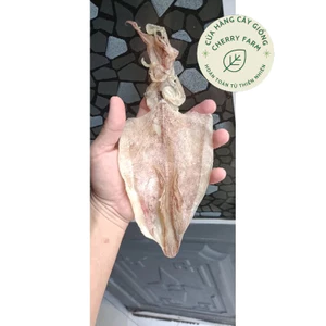 MỰC SIZE 30-35/KG.40-45con/kg HÀNG CHUẨN ĐẸP, SHIP NHANH