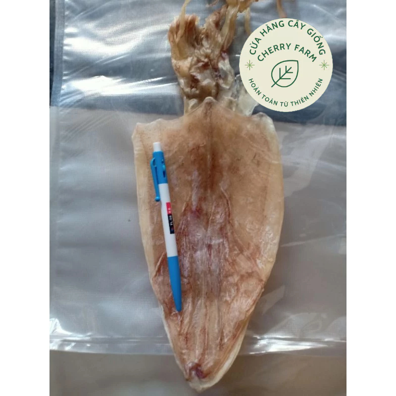 MỰC SIZE 30-35/KG.40-45con/kg HÀNG CHUẨN ĐẸP, SHIP NHANH