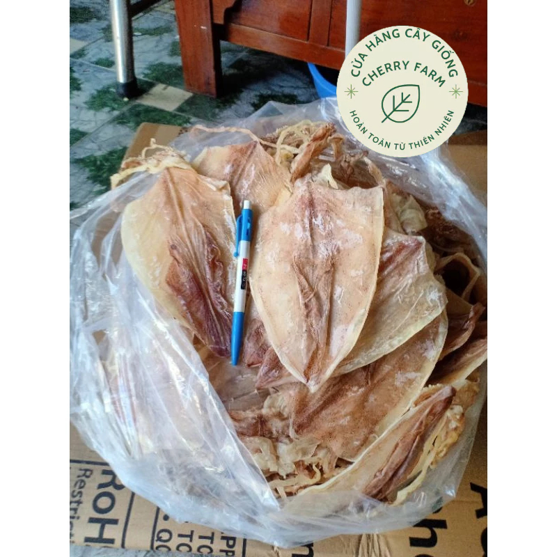 MỰC SIZE 30-35/KG.40-45con/kg HÀNG CHUẨN ĐẸP, SHIP NHANH