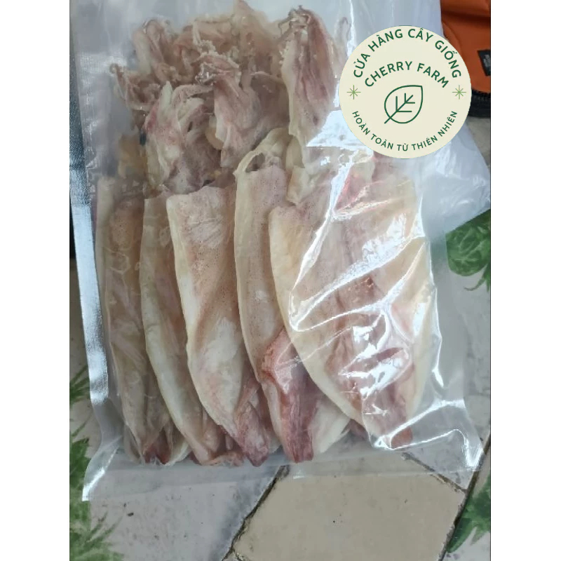 MỰC SIZE 30-35/KG.40-45con/kg HÀNG CHUẨN ĐẸP, SHIP NHANH