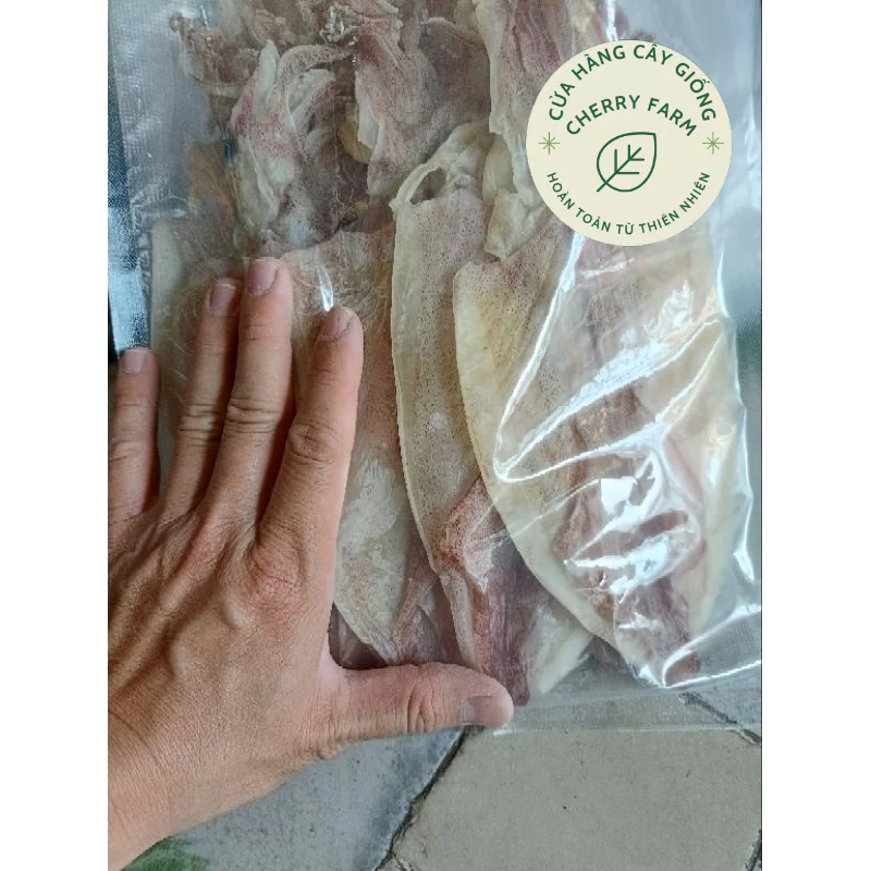 MỰC SIZE 30-35/KG.40-45con/kg HÀNG CHUẨN ĐẸP, SHIP NHANH