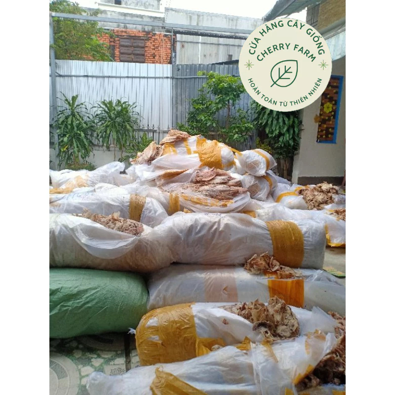 MỰC CHUỐI( BIỄN KIÊN GIANG) CAM KẾT NHƯ HÌNH
