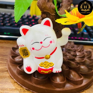 Mèo Thần Tài Mini Trang Trí – Decor May Mắn & Tài Lộc 🐱✨