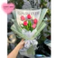 Bó hoa TULIP quà tặng làm theo yêu cầu