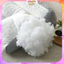 Bông Gòn Mịn Decor Trang Trí Đám Mây - Phụ Kiện Trang Trí Lớp Học, Decor Cây Thông Noel Giáng Sinh Làm Thú Nhồi Bông