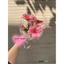 BÓ HOA TULIP PHỐI XINH YÊU