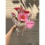 BÓ HOA TULIP PHỐI XINH YÊU
