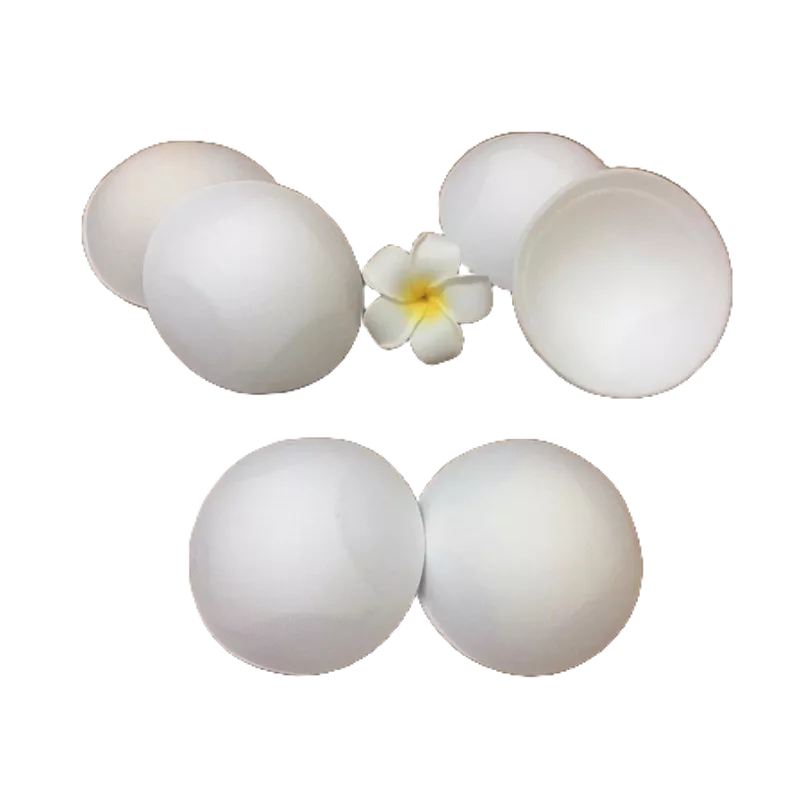 Miếng mút ngực nhét đồ bơi