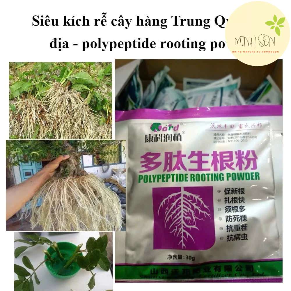 Kích rễ cực mạnh Trung Quốc HÀNG CHUẨN Polypeptyde Rooting powder 30g ...