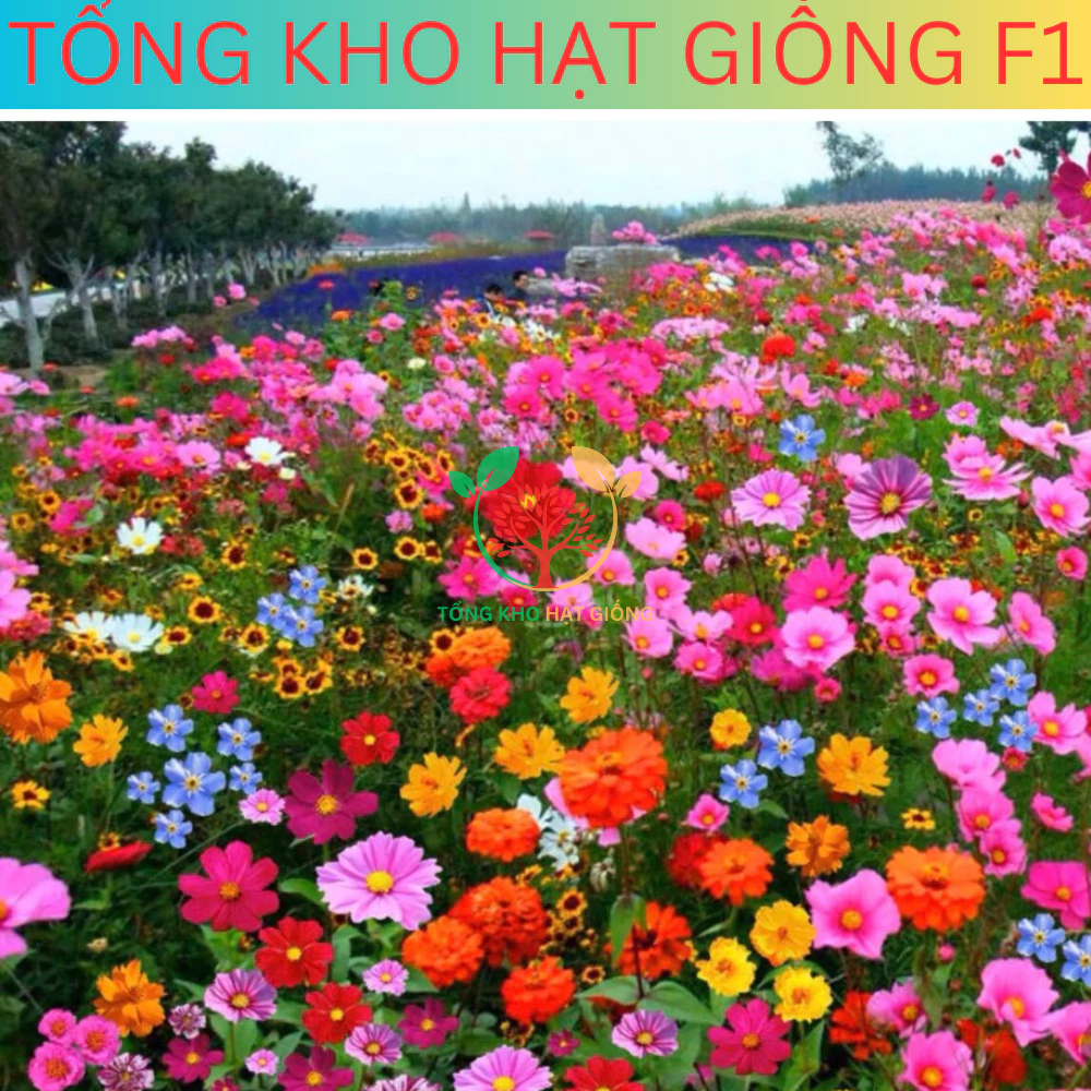 [Gói 400 Hạt] Tổng Hợp 21 loại hạt giống hoa dễ trồng đủ màu trong 1 gói (Tặng phân bón)