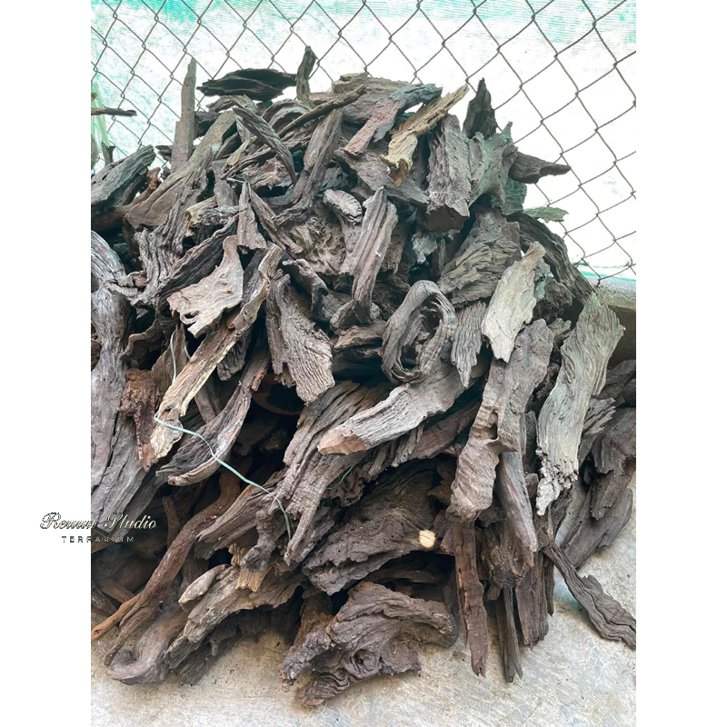 Lũa thuỷ sinh mini, trang trí terrarium bán cạn