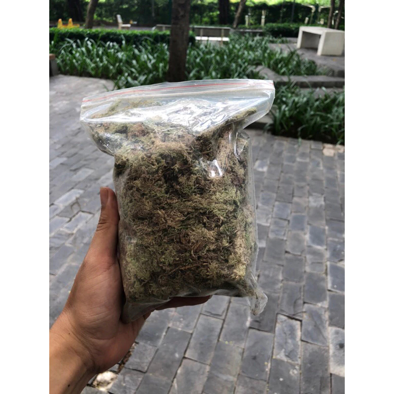 Dớn trắng khô ( Dried sphagnum ) trồng lan,lót nền terarium, ươm cây giữ ẩm tốt cho cây