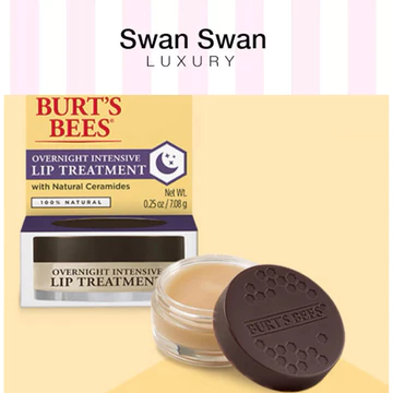 TẨY TẾ BÀO CHẾT MÔI VÀ SON DƯỠNG BURT’S BEES MẬT ONG