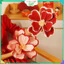 Hoa Mẫu Đơn Giả Handmade Giấy Nhún Phát Tài - Trang Trí Phòng Cưới, Lễ Hội, Decor Tết Đẹp 2026 CUOI