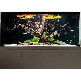 Cát MIX DAU AQUARIUM siêu sạch cho bể thuỷ sinh, bể công nghệ mới (1kg, 2kg, 5kg)