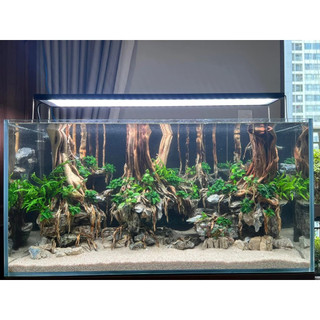 Cát MIX DAU AQUARIUM siêu sạch cho bể thuỷ sinh, bể công nghệ mới (1kg, 2kg, 5kg)