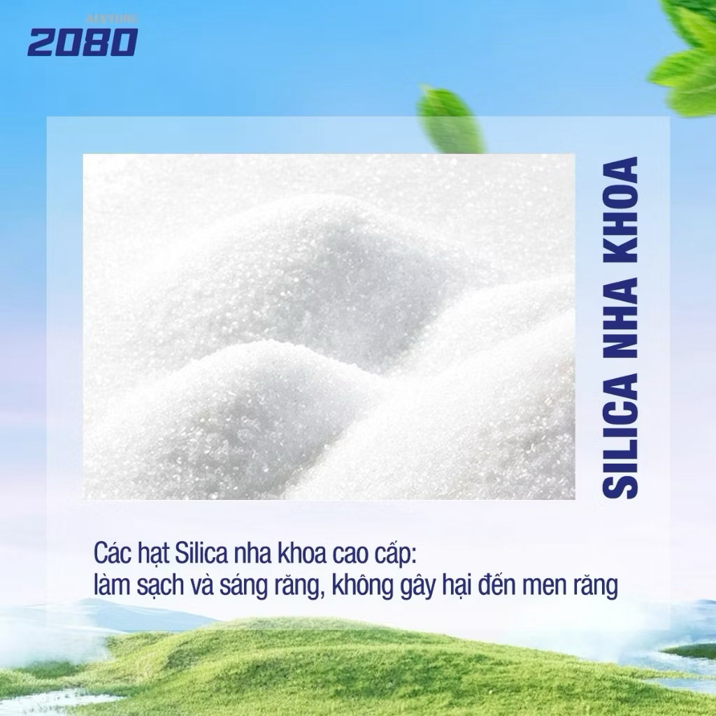 [Chính Hãng] Kem Đánh Răng Muối Thảo Dược Trắng Răng Thơm Miệng Ngăn Ngừa Viêm Nướu 2080 Dongyi Shenggum