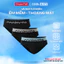 Combo 3 quần lót brief tam giác Lenzing Modal cạp logo hút ẩm co giãn tốt Coolmate