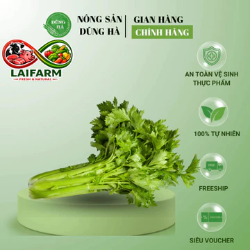 [Laifarm] [Hỏa tốc HN&HCM] CẦN TÂY tươi ngon, nguyên liệu Ép Nước Giảm Cân (SHIP HỎA TỐC)