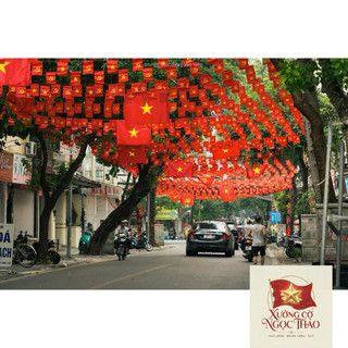 Dây Cờ Đảng Và Cờ Việt Nam Treo Trang Trí Sự Kiện Khai Trương Quốc Khánh
