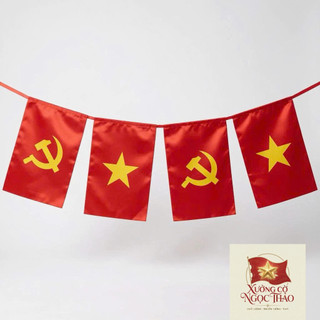Dây Cờ Đảng Và Cờ Việt Nam Treo Trang Trí Sự Kiện Khai Trương Quốc Khánh
