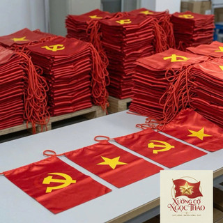 Dây Cờ Đảng Và Cờ Việt Nam Treo Trang Trí Sự Kiện Khai Trương Quốc Khánh