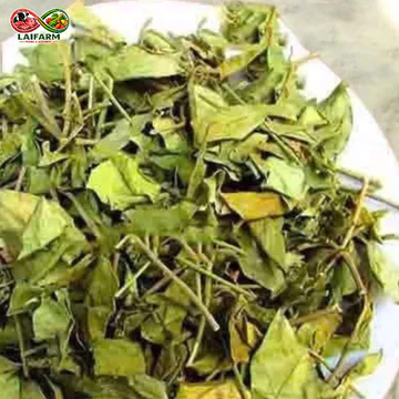 [Laifarm] Dây Thìa Canh sấy khô Túi 500gr NTFood - Nhất Tín Food