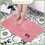 Thảm chùi logo bàn chân chống trơn trượt, thấm hút nước 60x40cm