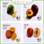 HỘP 416 THẺ HỌC 16 chủ đề THÔNG MINH quà tặng cho bé