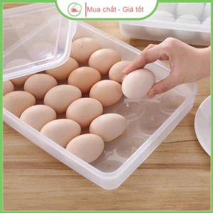 Khay đựng trứng 24 quả chất liệu nhựa cao cấp dày dặn