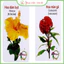 HỘP 416 THẺ HỌC 16 chủ đề THÔNG MINH quà tặng cho bé