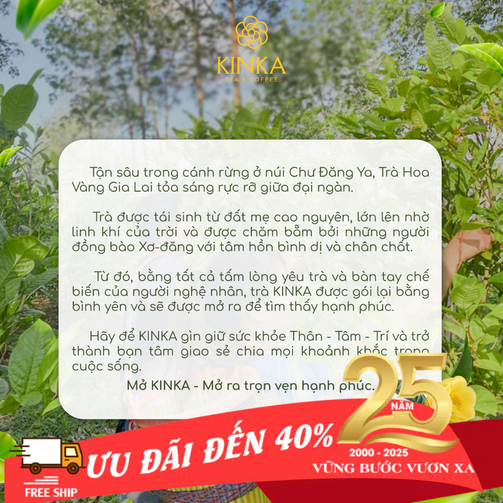 Hoa trà hoa vàng Gia Lai - Gia Lai Camellia Flava