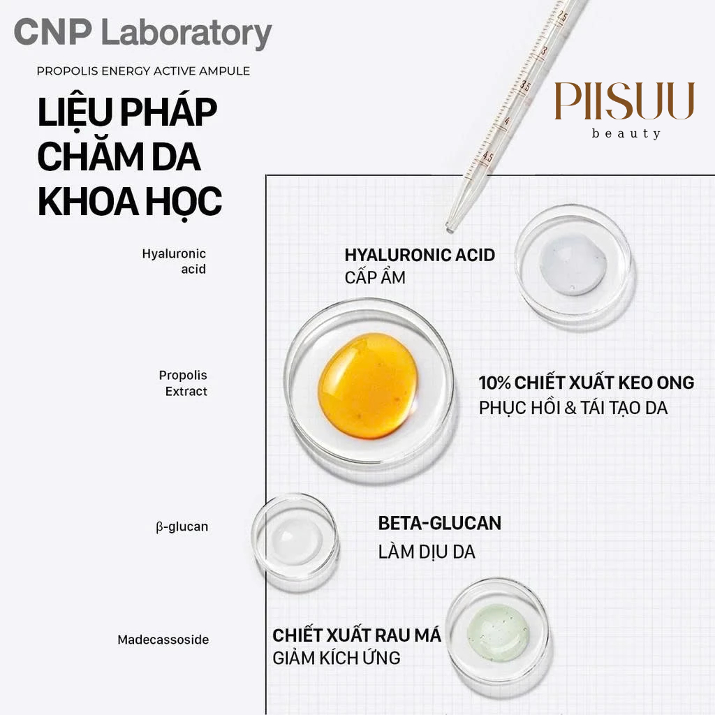 Tinh Chất CNP Laboratory Propolis Energy Ampule (15ml/35ml) - Keo Ong Đậm Đặc, Cấp Ẩm, Phục Hồi & Chống Lão Hóa Sớm