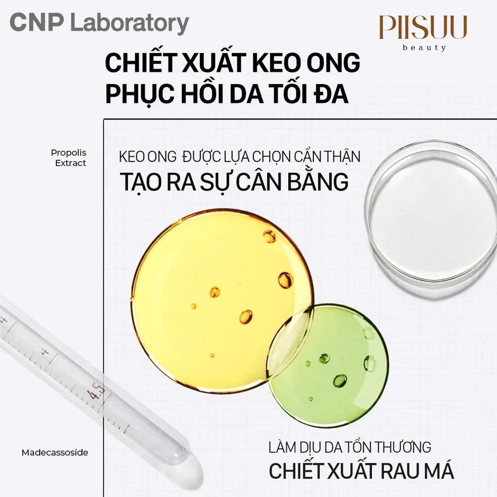 Tinh Chất CNP Laboratory Propolis Energy Ampule (15ml/35ml) - Keo Ong Đậm Đặc, Cấp Ẩm, Phục Hồi & Chống Lão Hóa Sớm