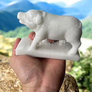 Con heo đá non nước cao 12 cm phong thuỷ HANMYNGHE