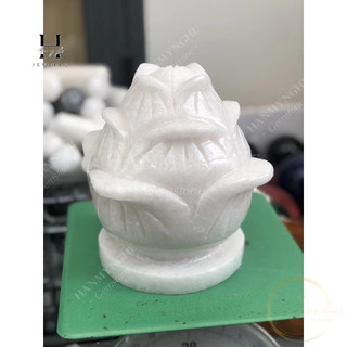 Cặp hoa sen đá non nước 16x20 cm HANMYNGHE