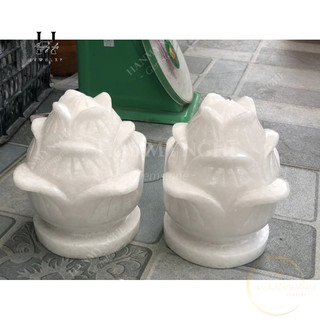 Cặp hoa sen đá non nước 16x20 cm HANMYNGHE