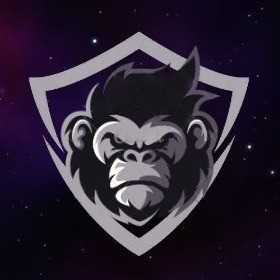 trinhhoang17