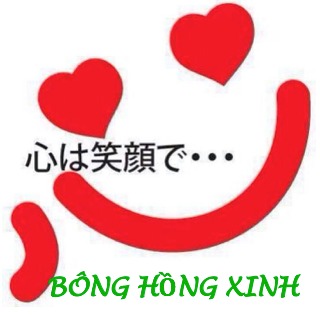 BÔNG HỒNG XINH shope