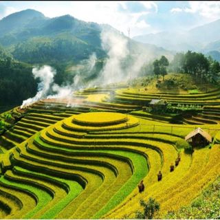 vn0845_73189