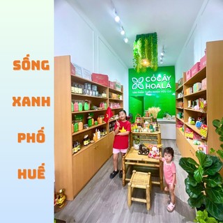 haianhtran286