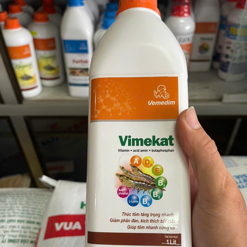 Porno: Dunyodagi eng yaxshi porno aktrisalar