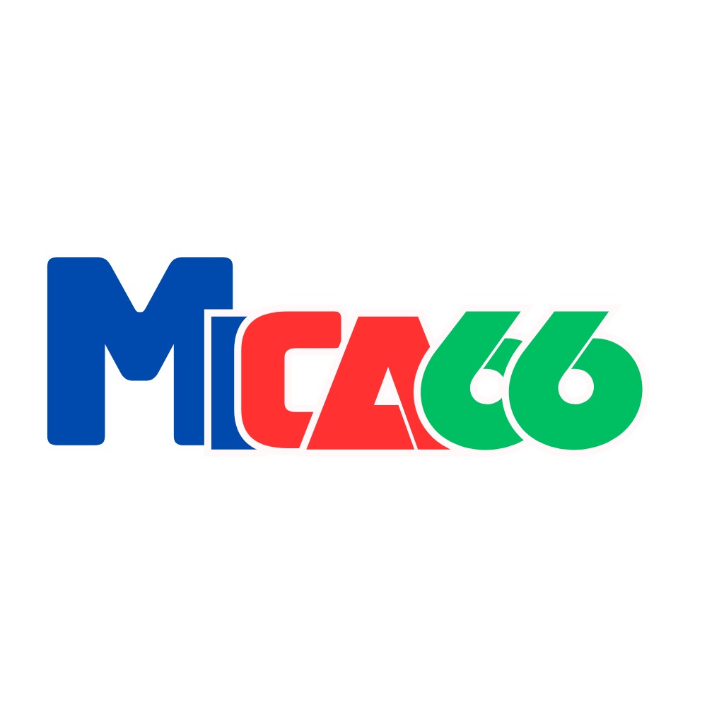 Mica66